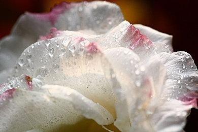 3DM速报：《赛博朋克2077》资料片明年出 小岛秀夫澄清被索尼收购